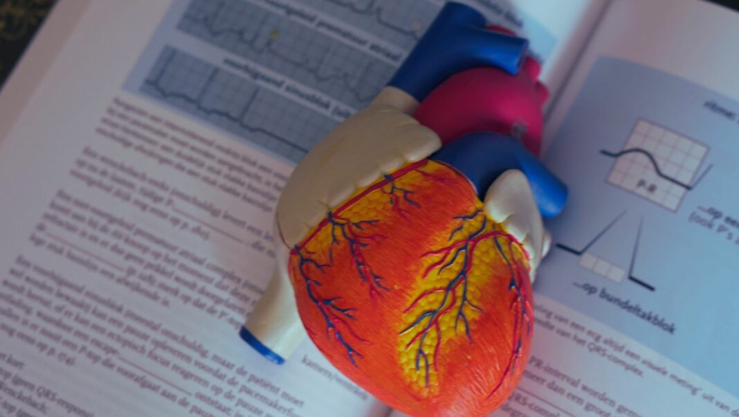 Diseno sin titulo Diseno sin titulo